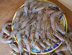 Pic: Mick Fletoridis